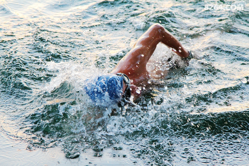 冬游自由泳随拍