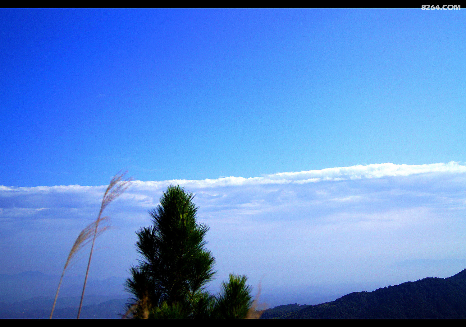 DSC03170.jpg