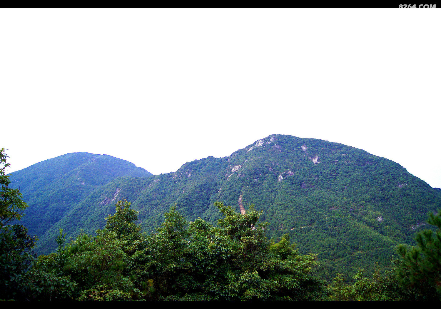 DSC03177.jpg