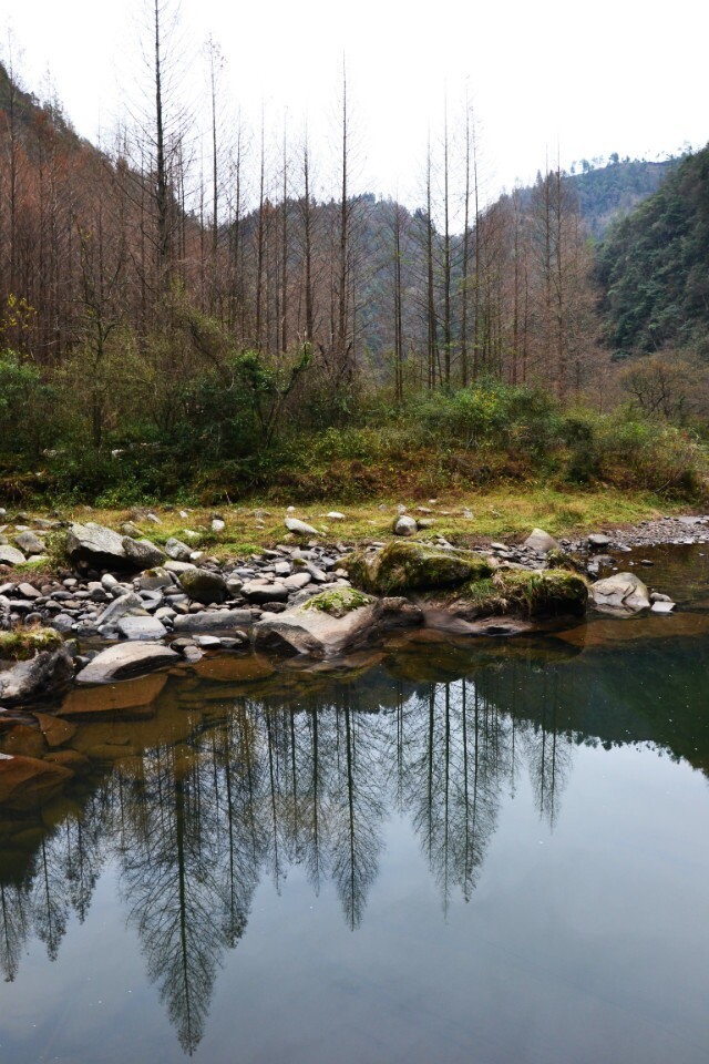枯藤老树昏鸦小桥流水人家石柱油草河