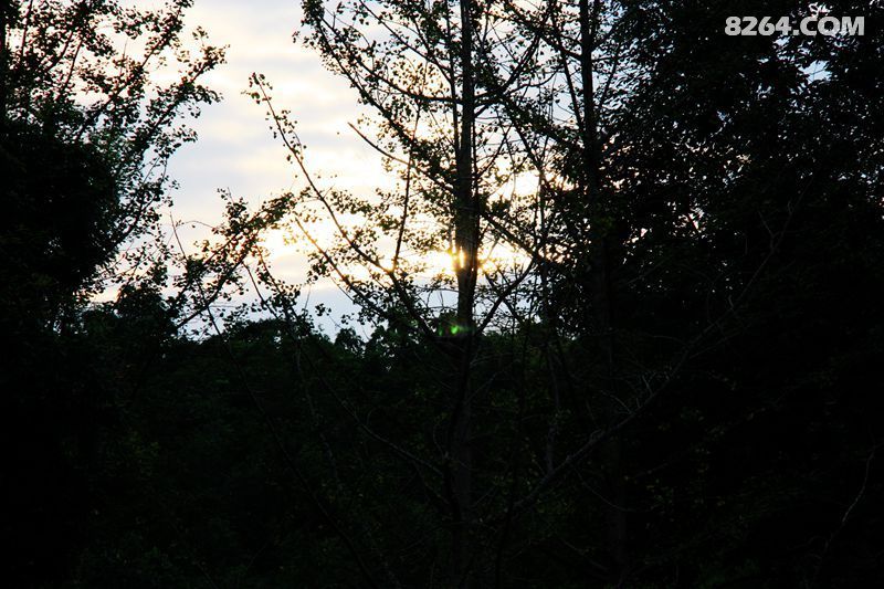 IMG_0144_����.jpg