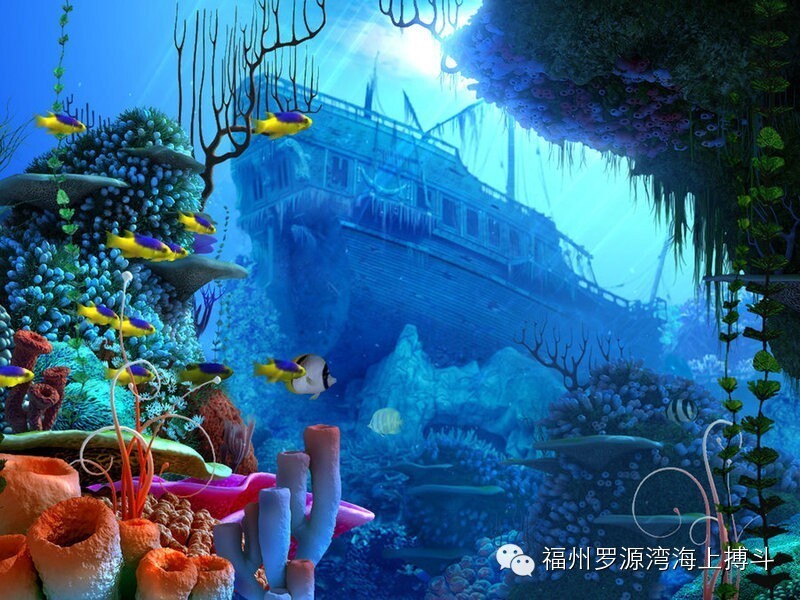 2015年2月8号罗源湾海洋世界休闲亲子游——908福州户外
