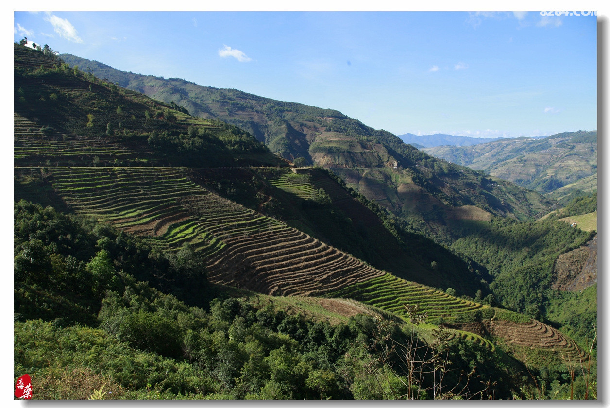 镇沅千家寨简直不是人呆的地方