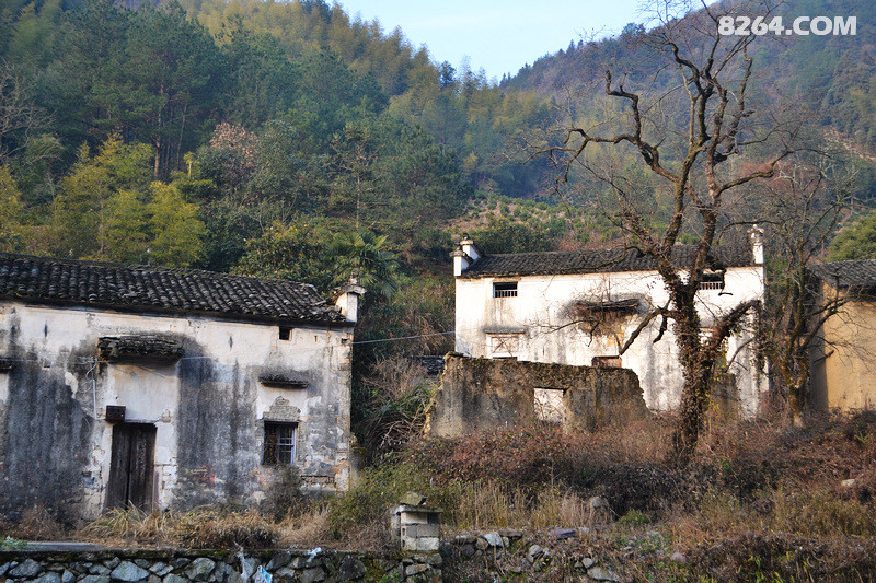 登顶松萝山作业