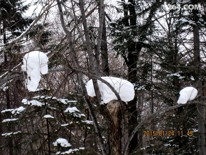 00328Ifxzy6PvVJVi6y06&690.jpg