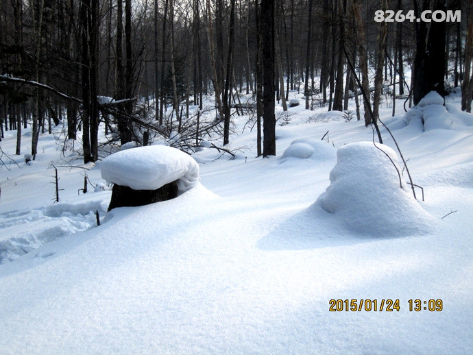 00328Ifxzy6PvVQ7buha9&690.jpg