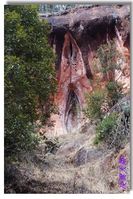 1月底 探索生命之门