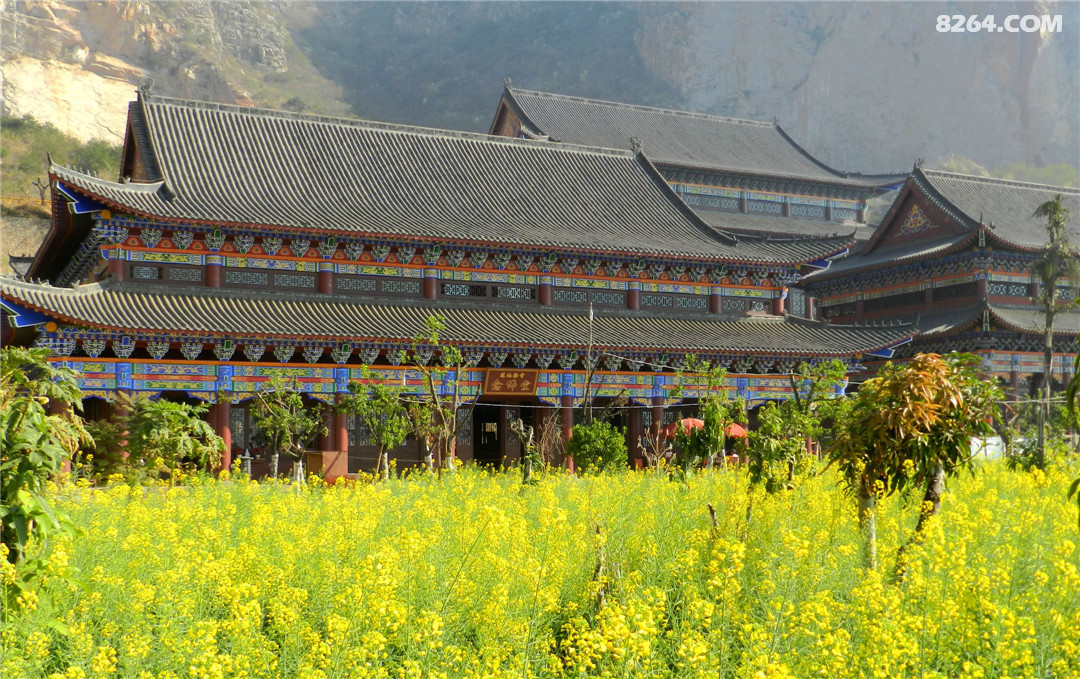 二月油菜花开时节闲逛西佛寺