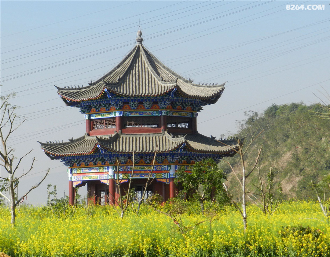 二月油菜花开时节闲逛西佛寺