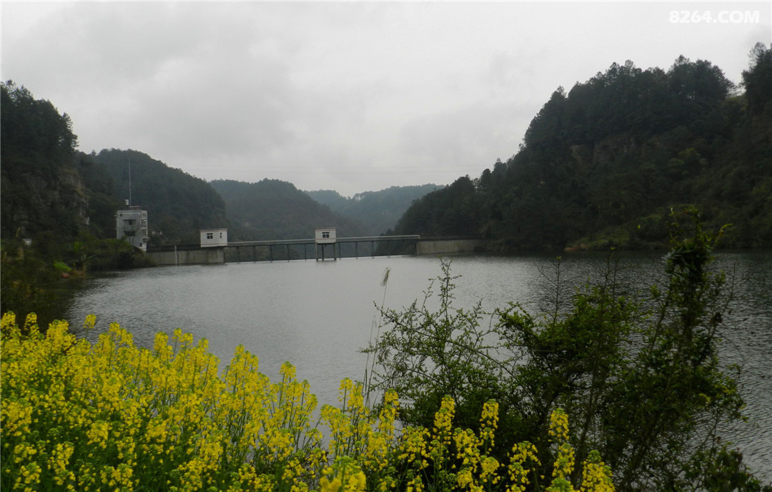 威远县长沙坝水库库区乡村行