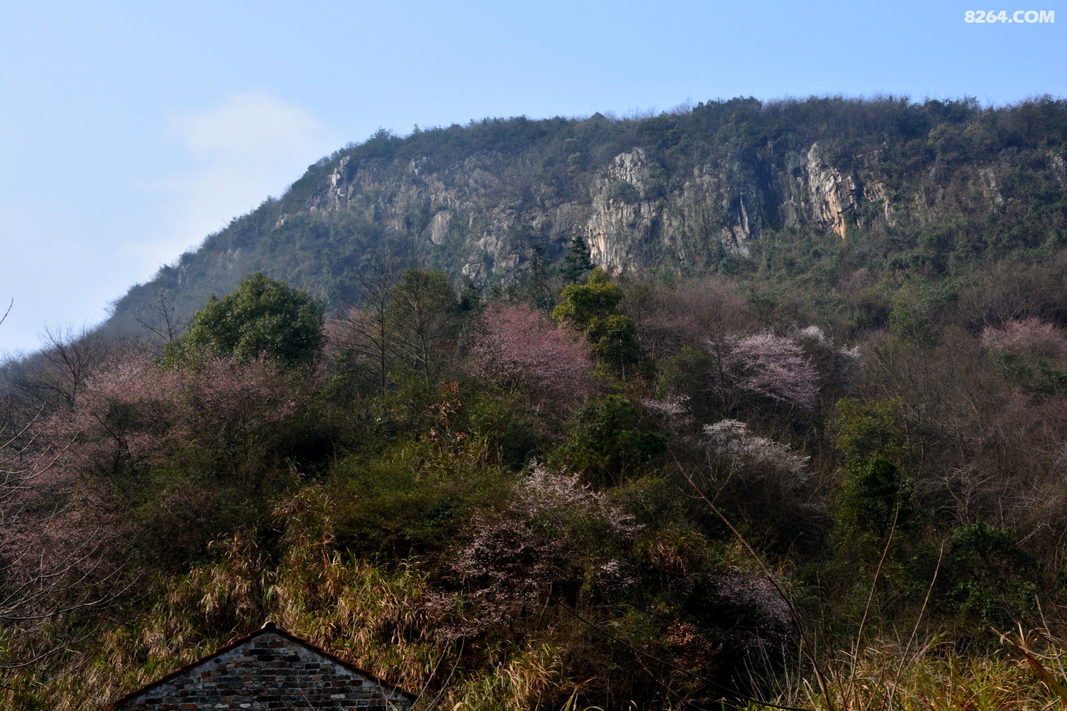 69 驴友论坛 69 湖北 69 黄石 69 初春大王山洗肺 本帖最后由