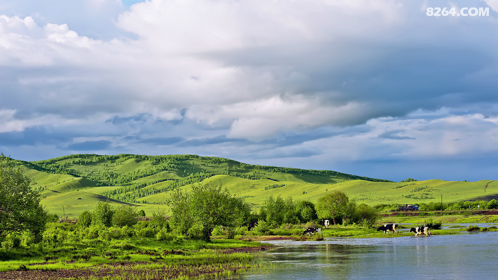 梦幻的大呼伦贝尔大草原duang我们来过用大量美图记录我们的一路见闻