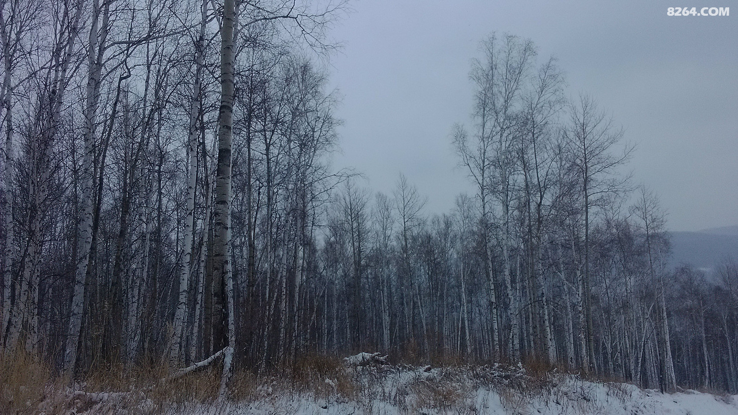 ������ƬIMG_20150404_122157.jpg
