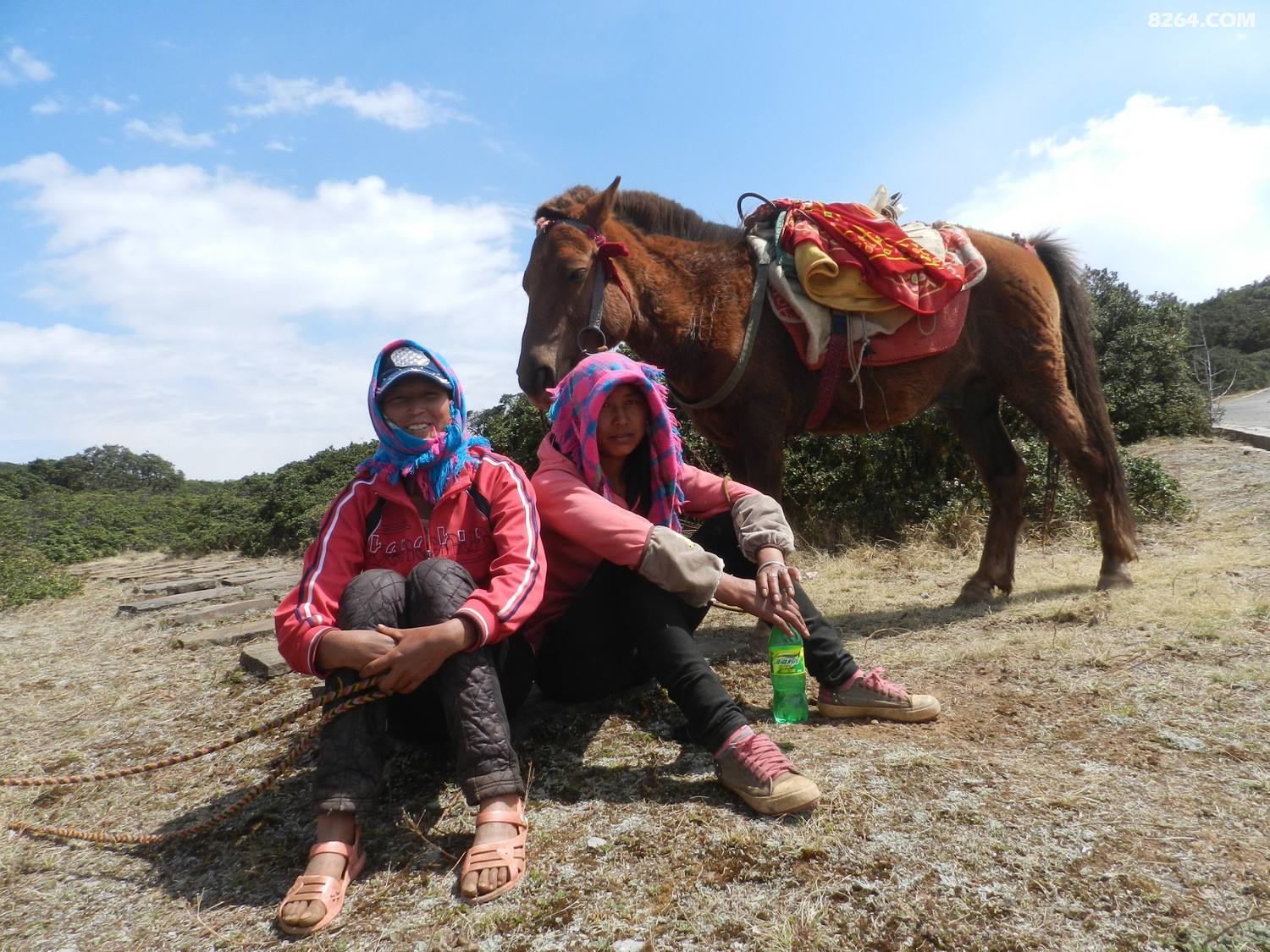 索玛花开攀西裂谷绿洲格萨拉相遇远山的呼唤剧组