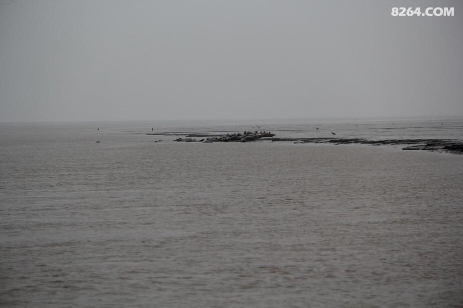 IMG_4212.jpg