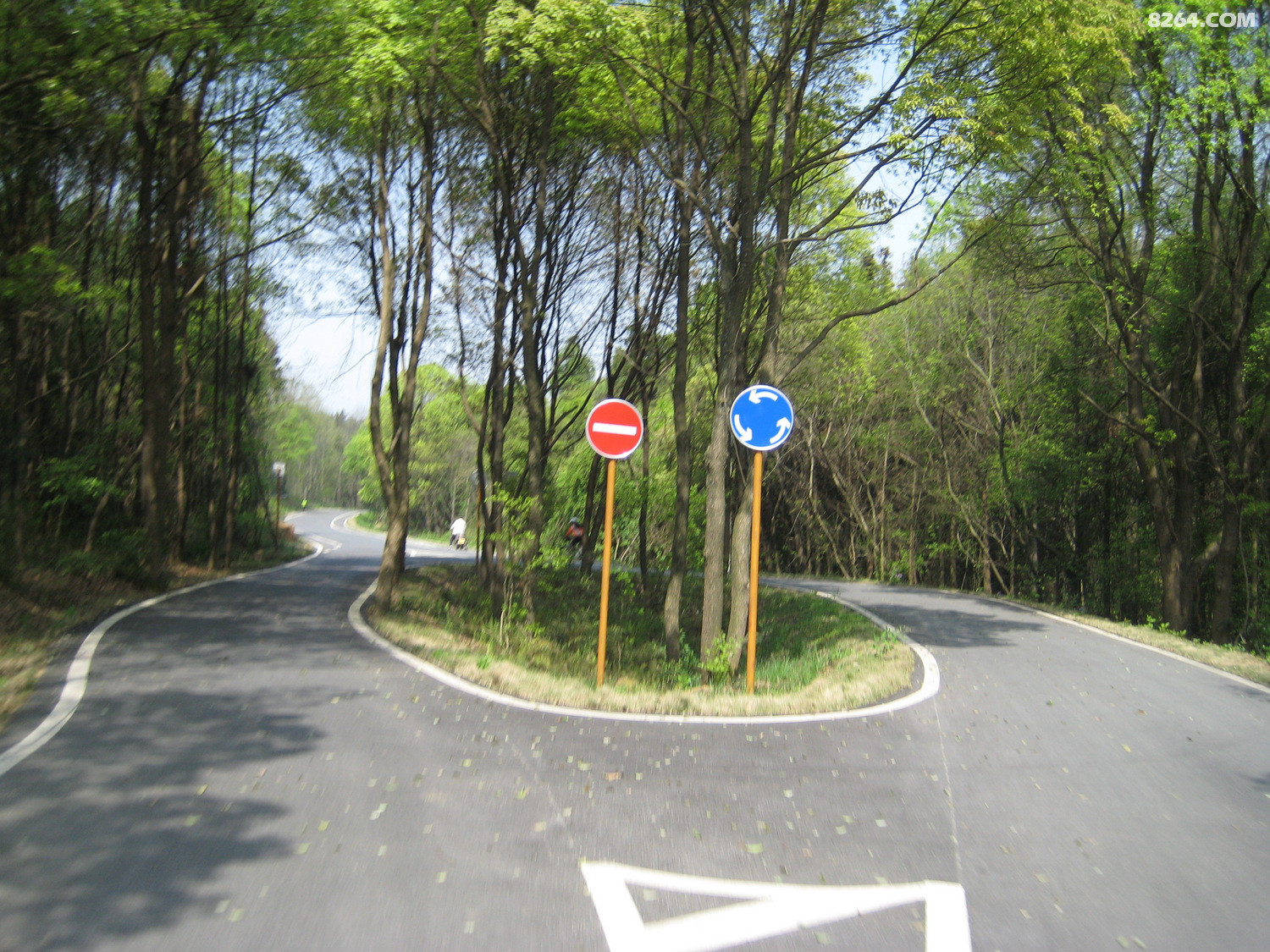 我骑行我快乐江夏环山路绿道