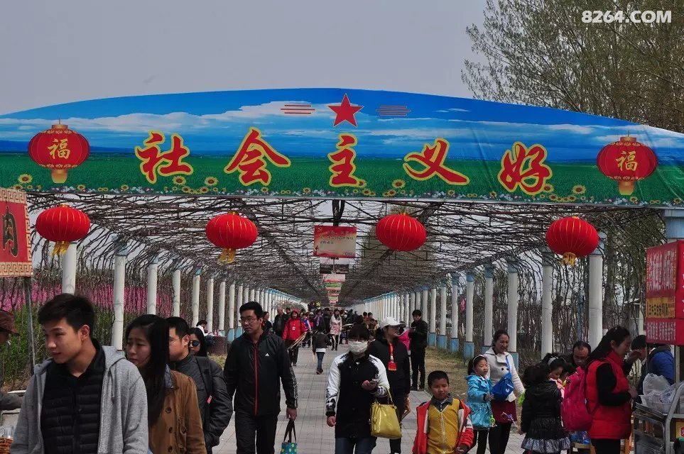 最后的人民公社我眼中的河北晋州周家庄