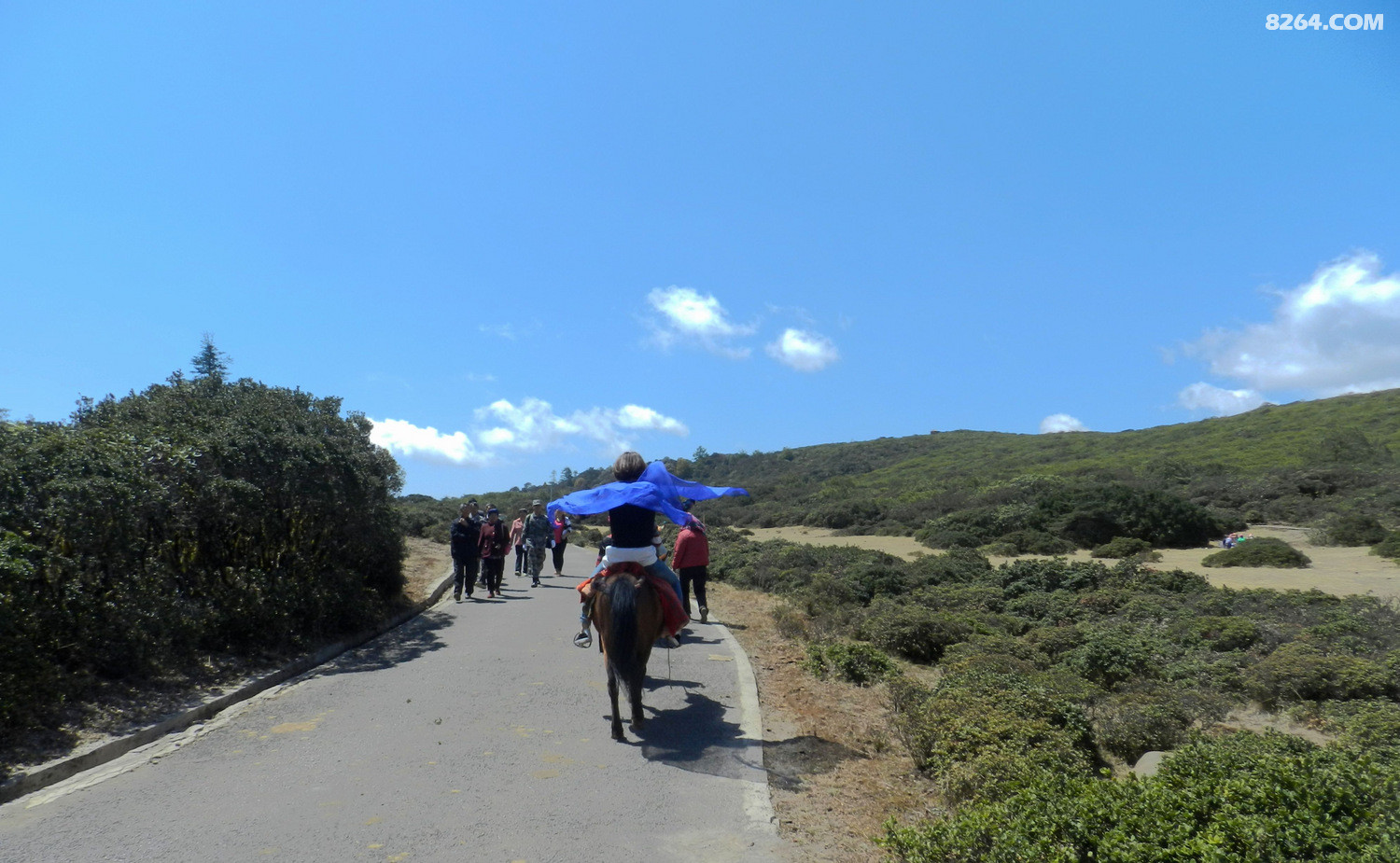 格萨拉牵马的女人