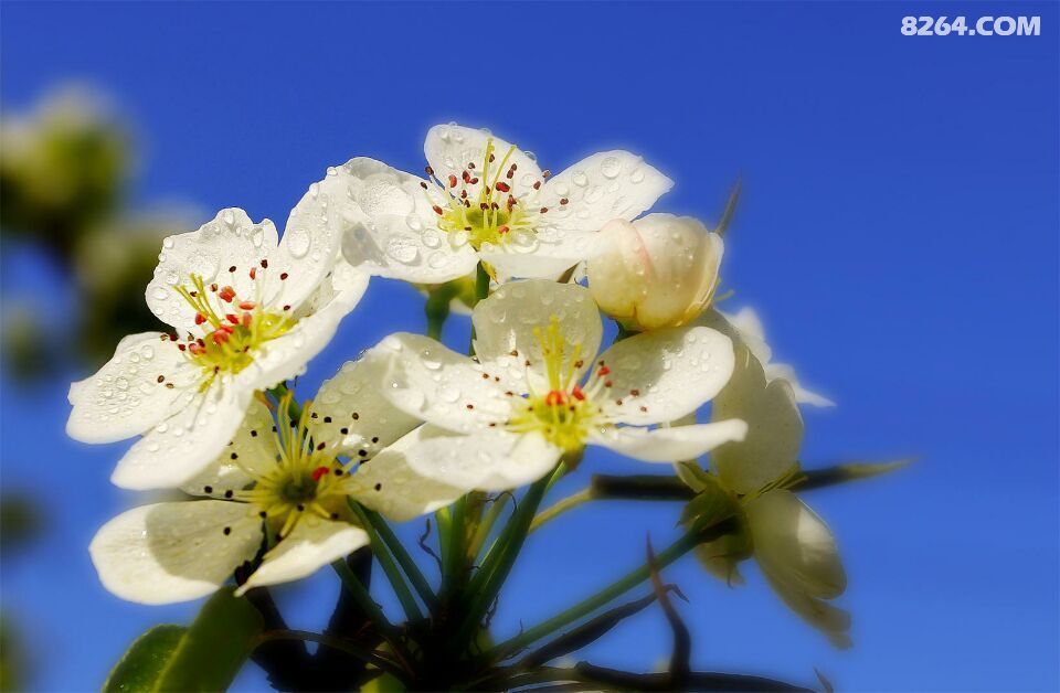 QQͼƬ20150505223835.jpg