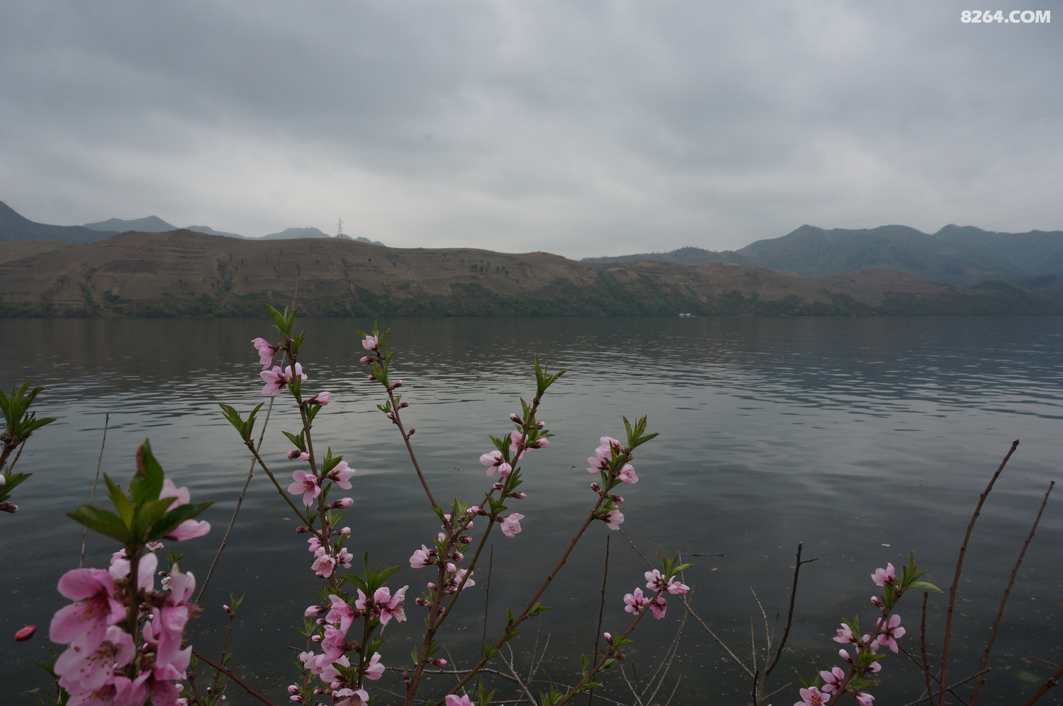 DSC01274.JPG