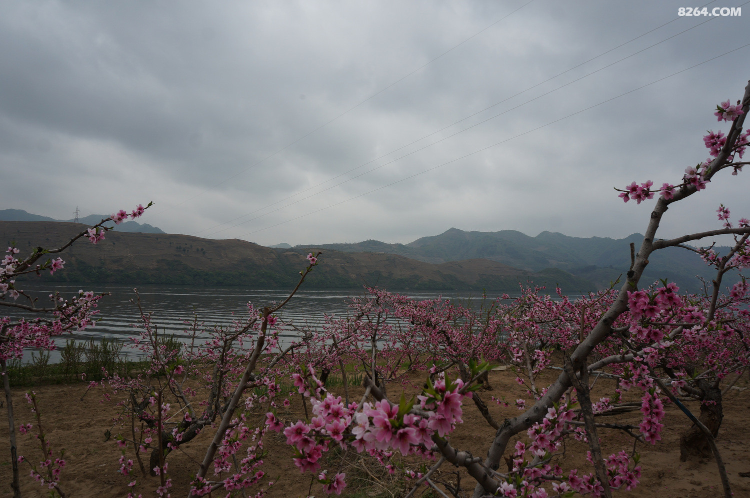 DSC01293.JPG