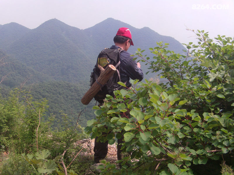 5月16日焦作猎人户外徒步宫口—垭口—桃花沟—金寨—奔月天桥—王母