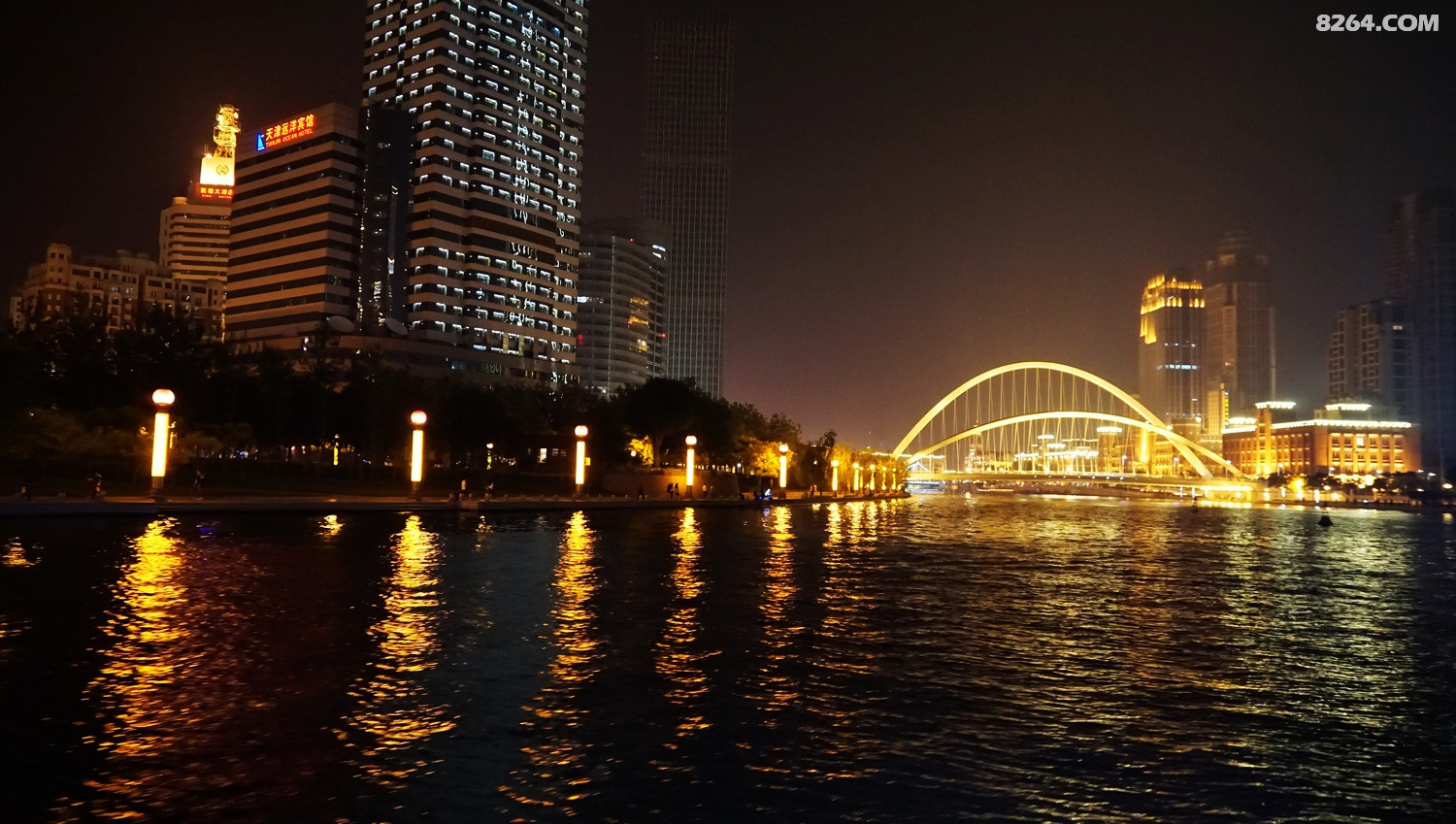 DSC03447.jpg