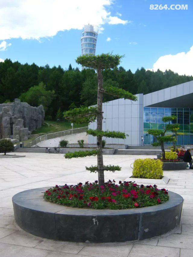 游宝泉岭森林植物园随拍