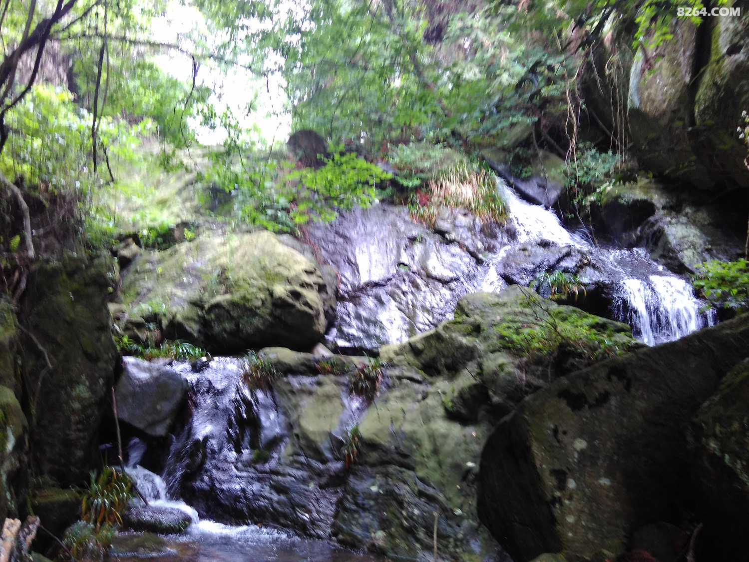 羽过添情登山一族150604号黄陂白云山棺材山游记