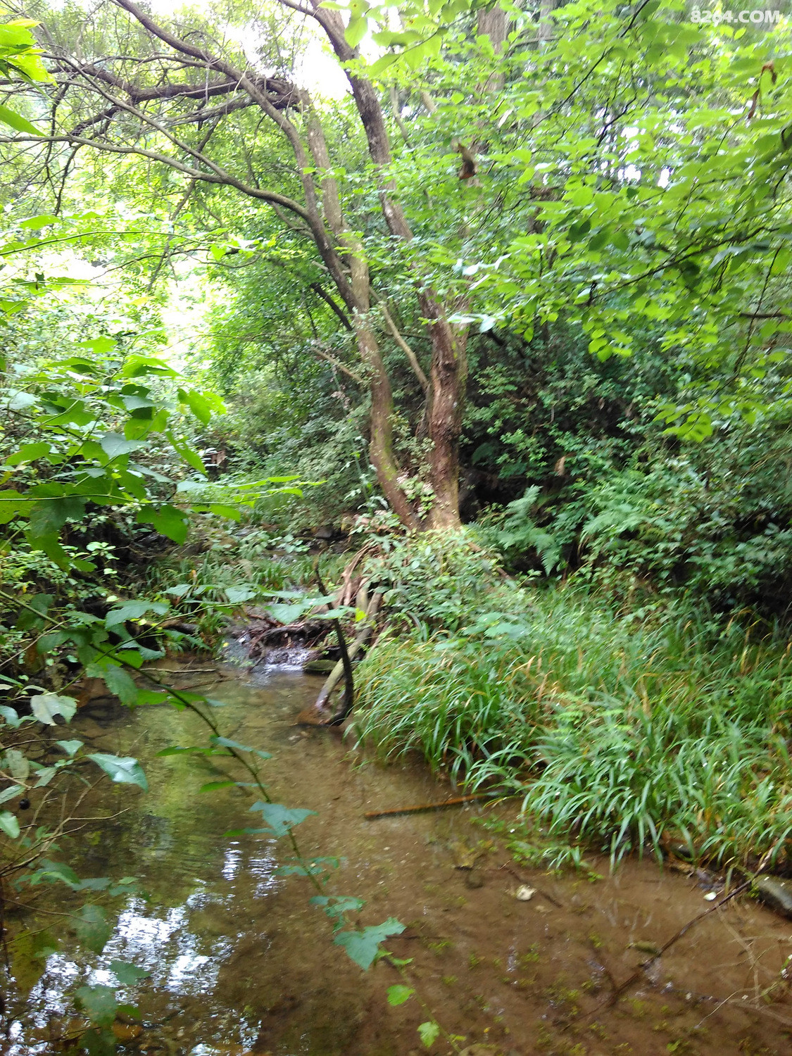 羽过添情登山一族150604号黄陂白云山棺材山游记