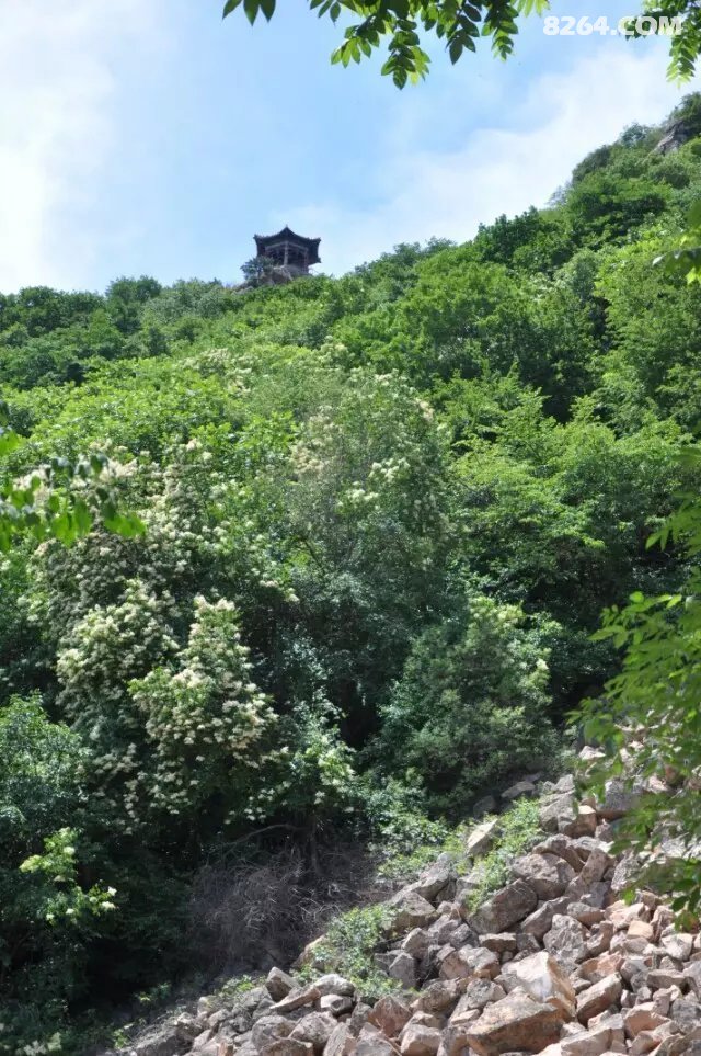 黄花山中沐仙风------铁瓦寺里访道骨 . - 第2页 - 天津 - 8264户外