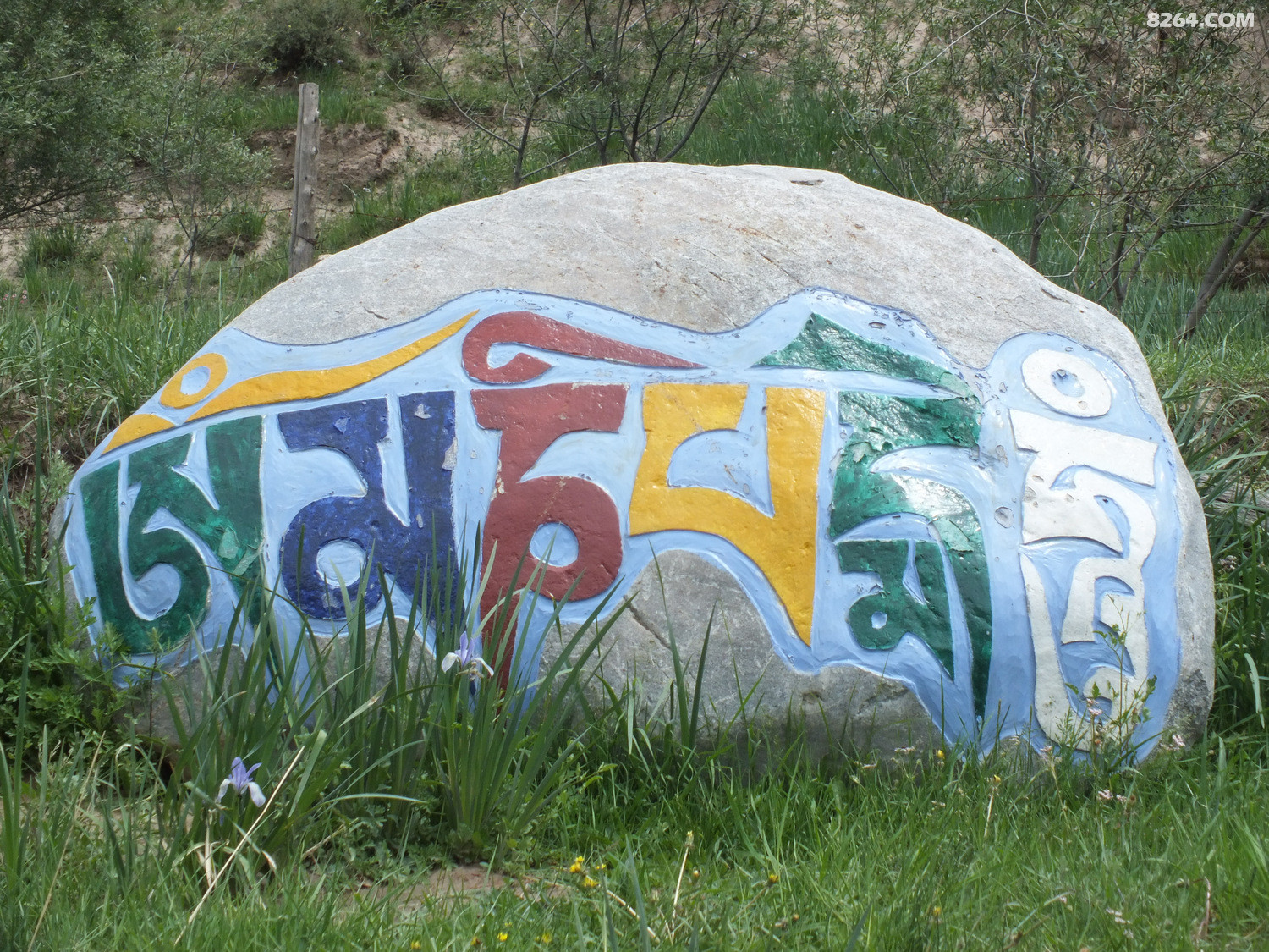 DSCF1481.JPG