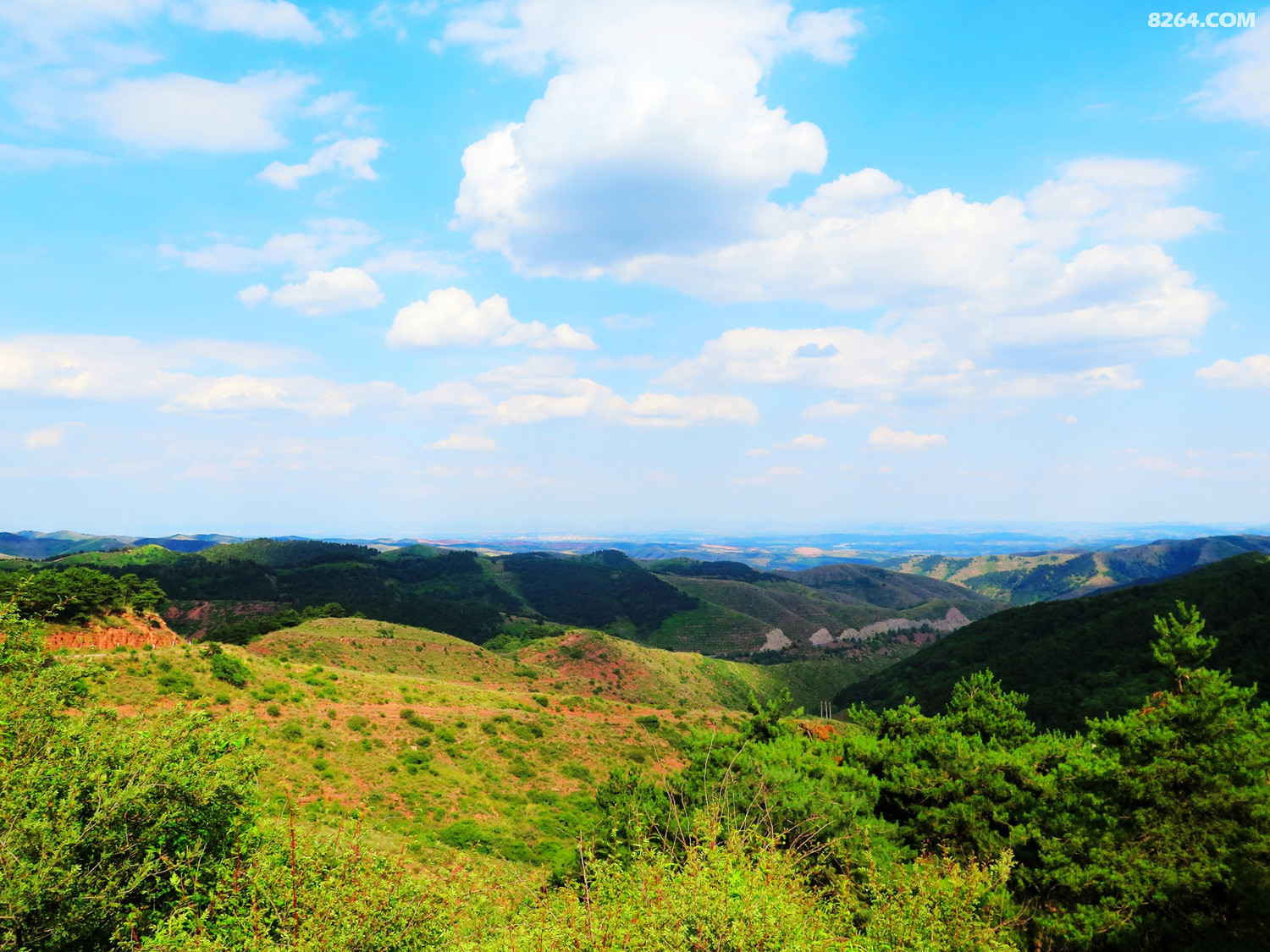 骑行发鸠山