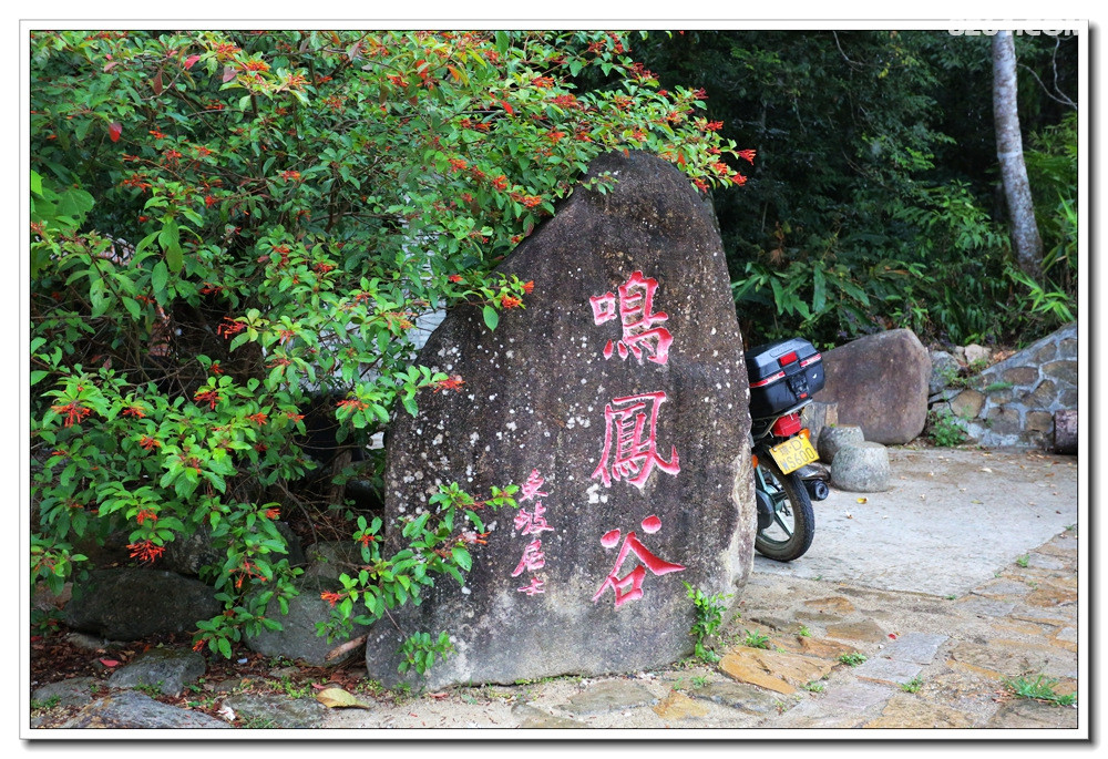 梦寐的原始热带雨林奇观尖峰岭之鸣凤谷