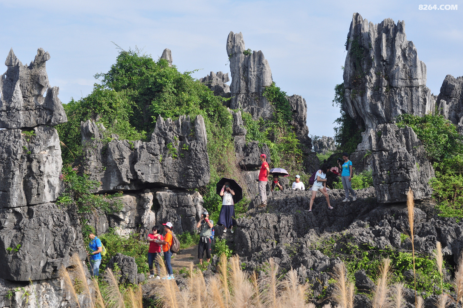 没错这个石林是桂林的行走于灌阳文市石林