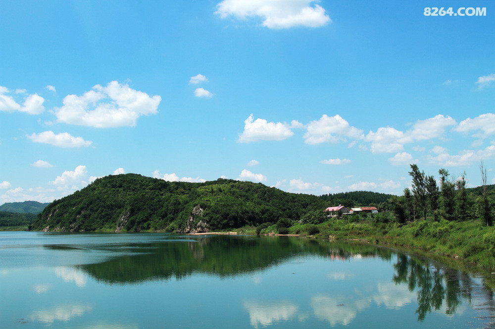 fcpl1_004.jpg