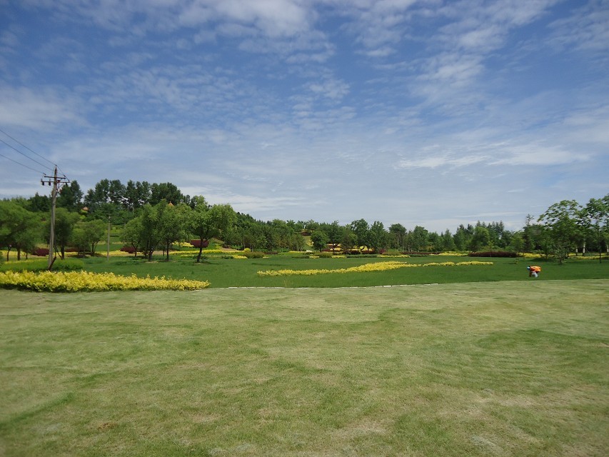 10公里徒步随拍龙腾公园风景