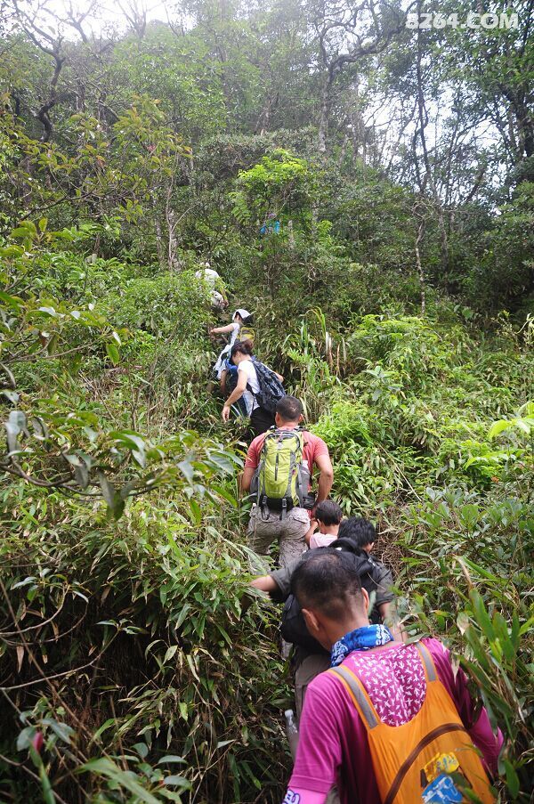 23NX}R@1IDPO369ANJ{J`UL.jpg