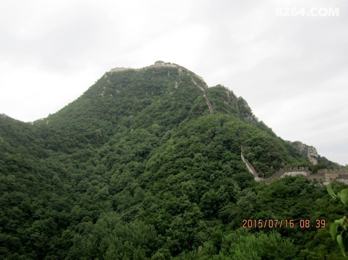 00328Ifxzy6U16HXwkoc8&690.jpg