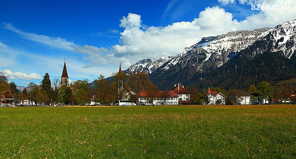 IMG_4944.JPG