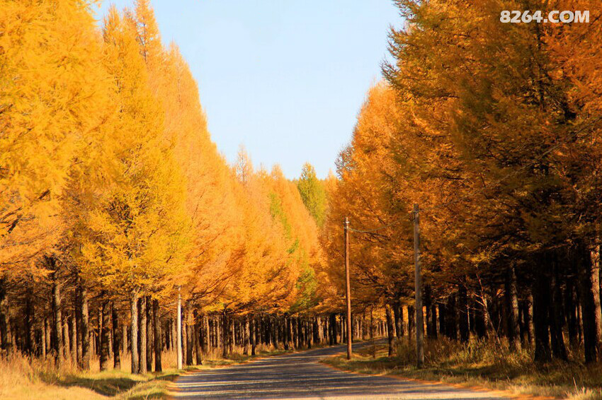 QQͼƬ20141007142641.jpg