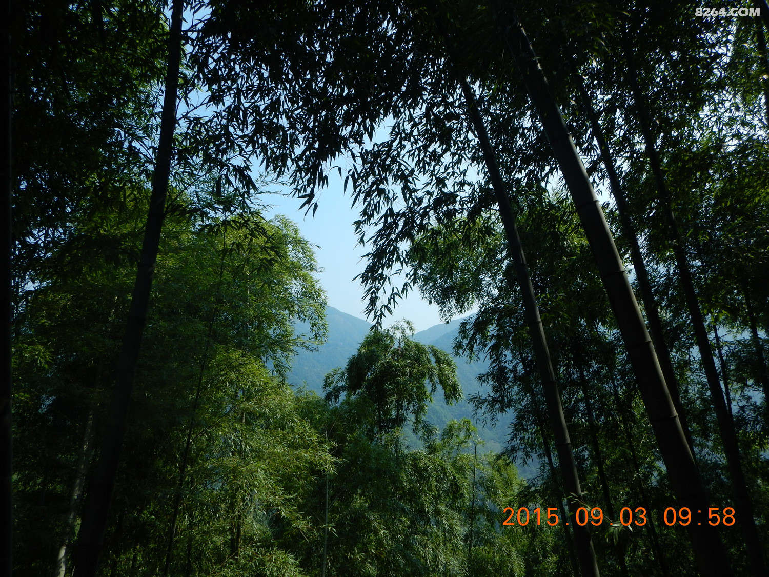 DSCN0930[1].JPG