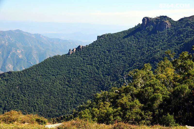 浑源龙山峡谷赏秋景 作业贴