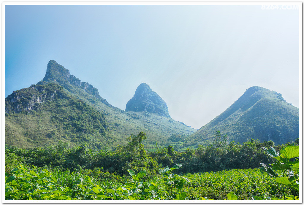 烈日中骑行马山柳城马山乡登黄岭