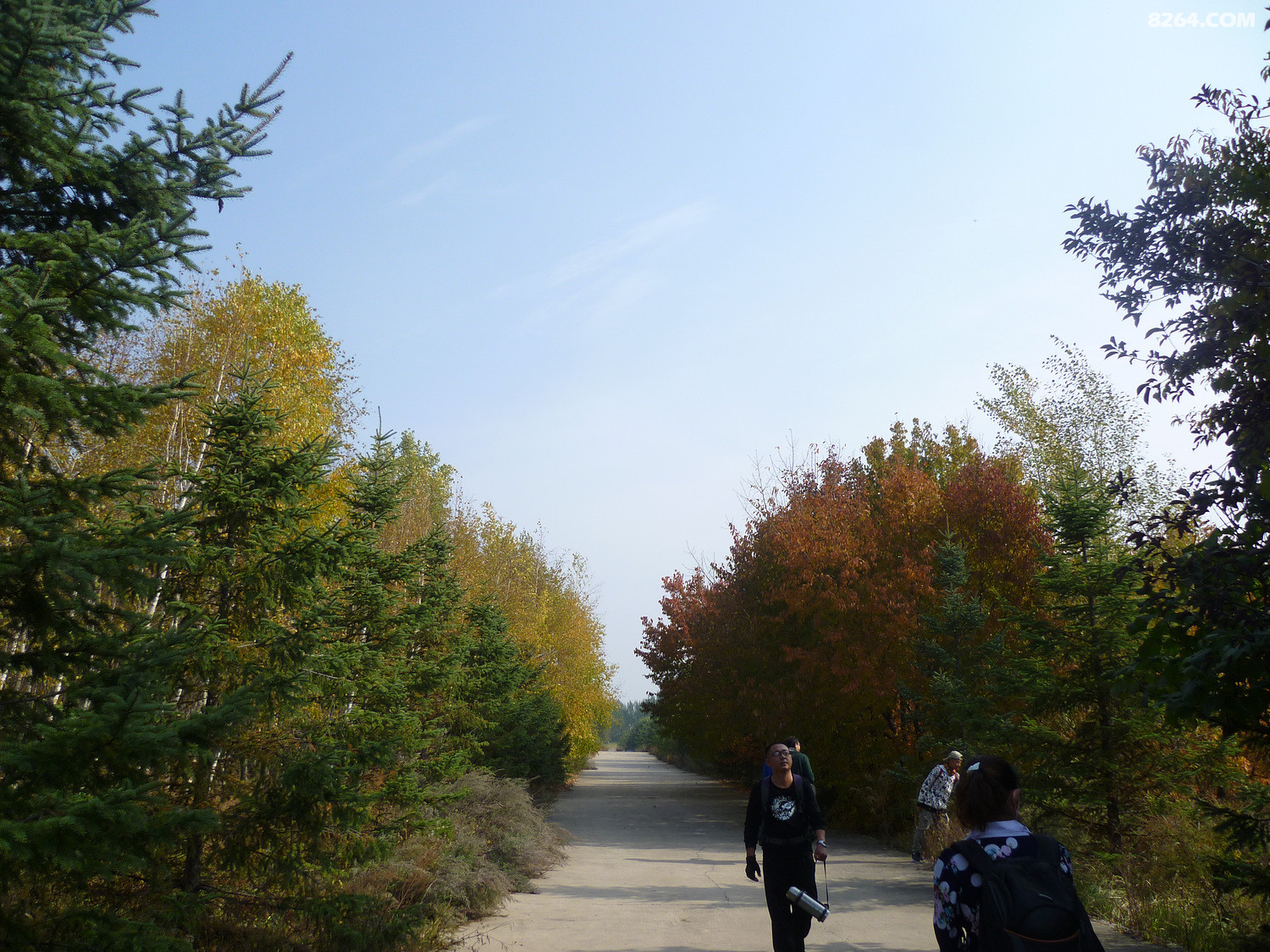 P1020695.JPG