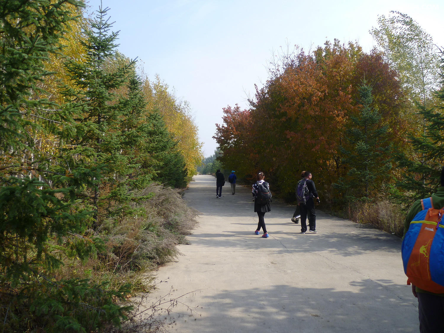 P1020696.JPG