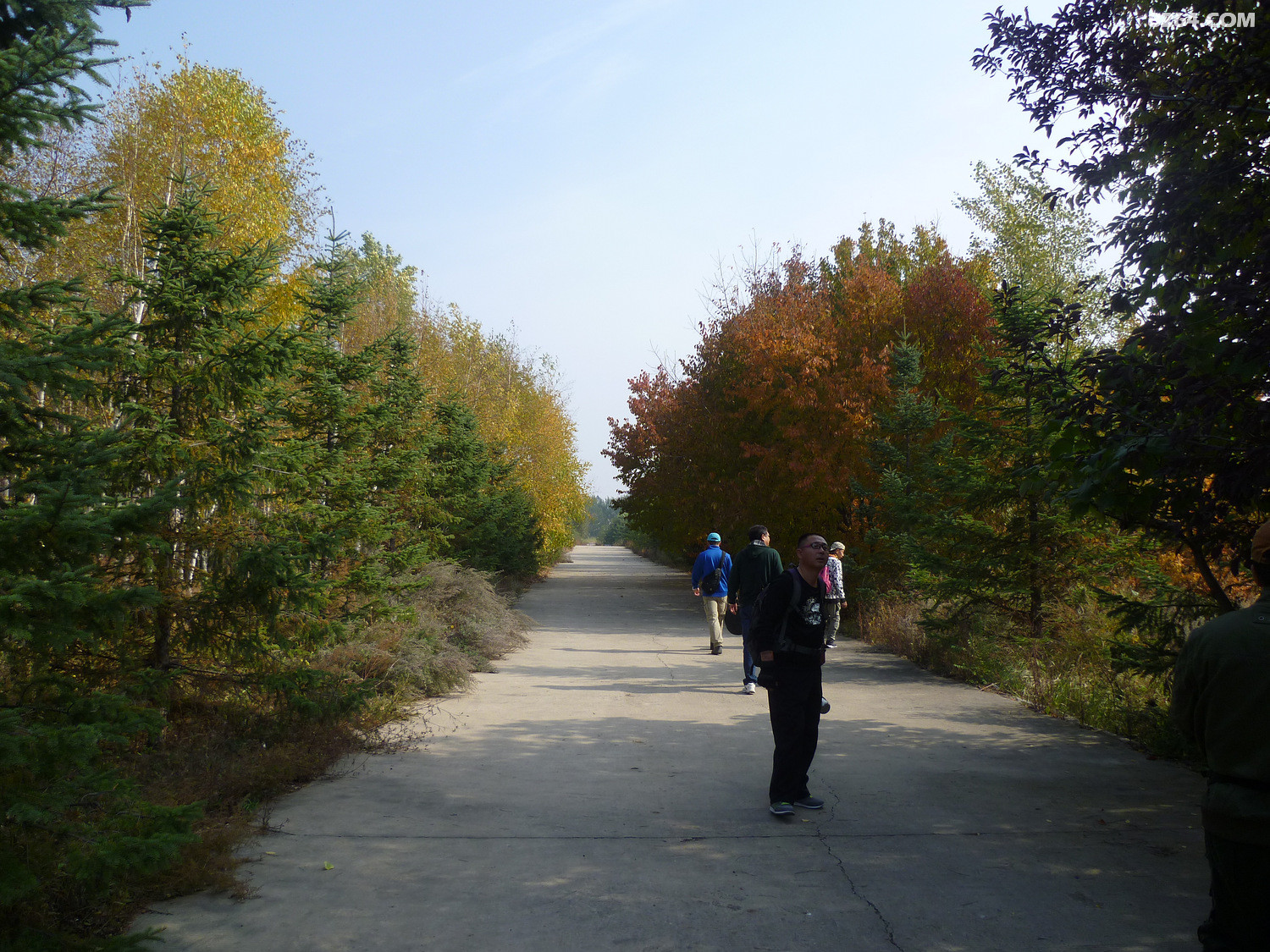 P1020694.JPG