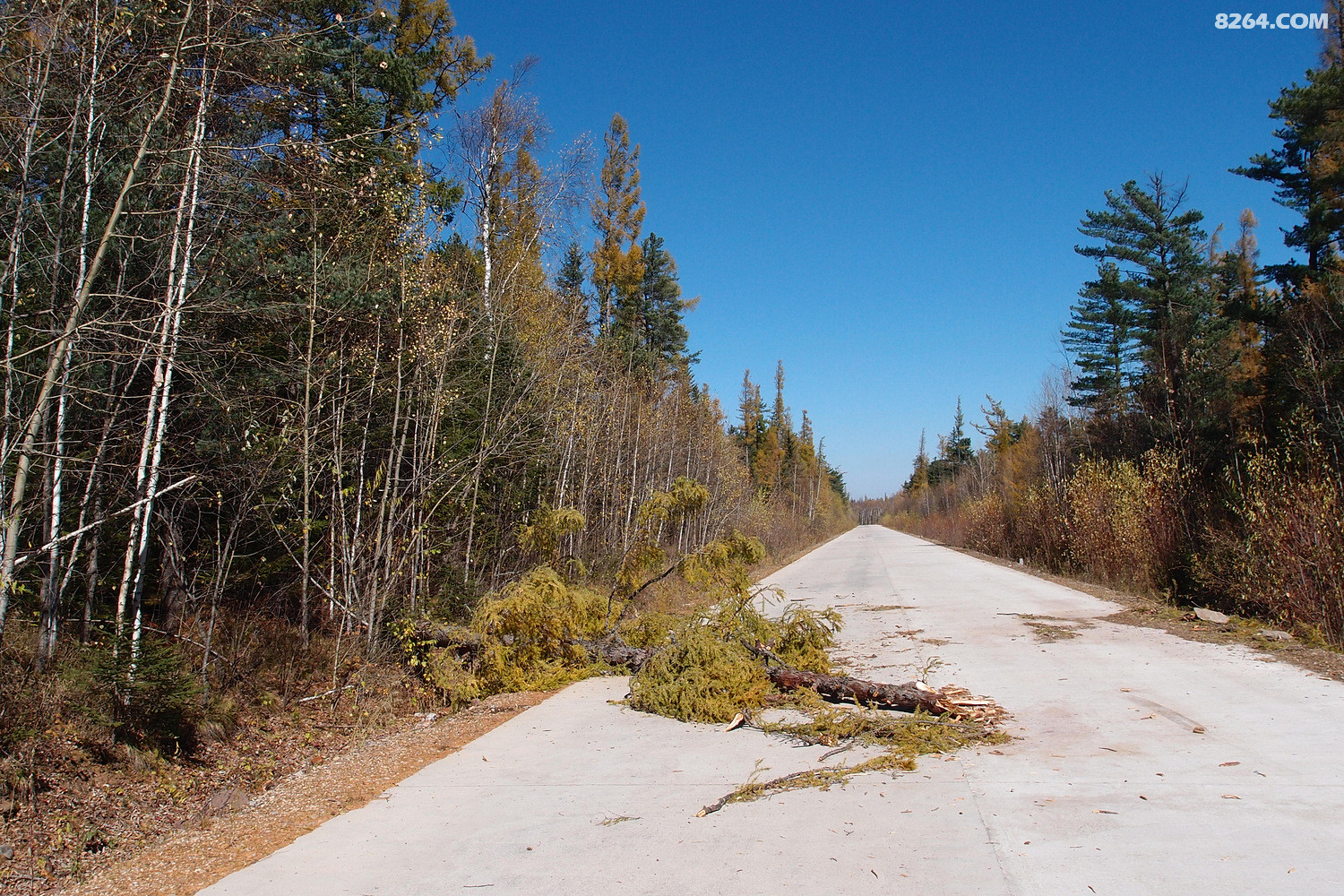 菜鸟夫妻骑行长白山中朝边境无人区