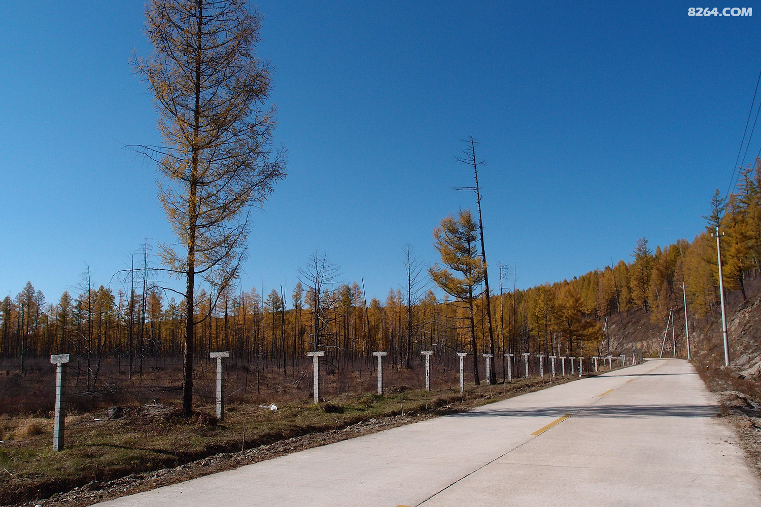 菜鸟夫妻骑行长白山中朝边境无人区