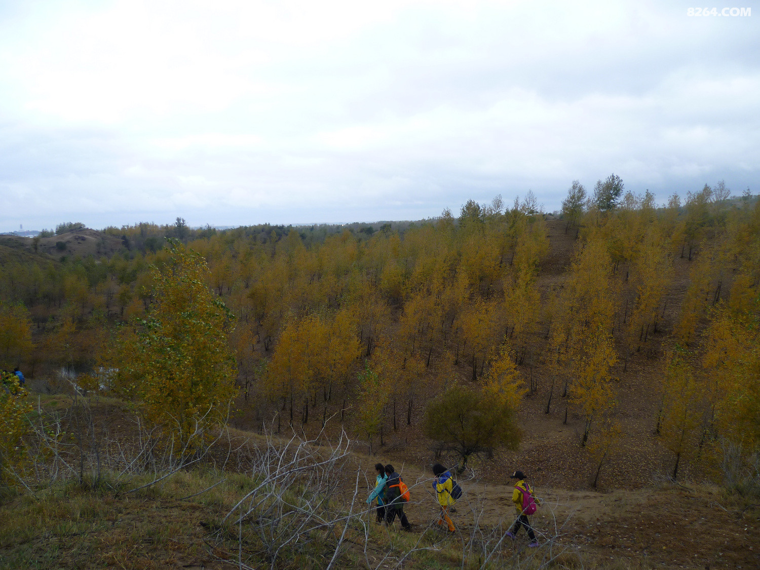P1020897.JPG